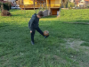 IMG-290239669a1960563ff384491364b072-V
