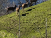 IMG_20250407_155104