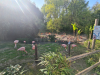 20250411_160113_resized_1