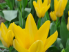 IMG-7955e536a2254532fdee9340a56bfa60-V