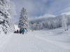 IMG_20250218_103353