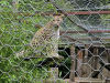 IMG_20240613_112748